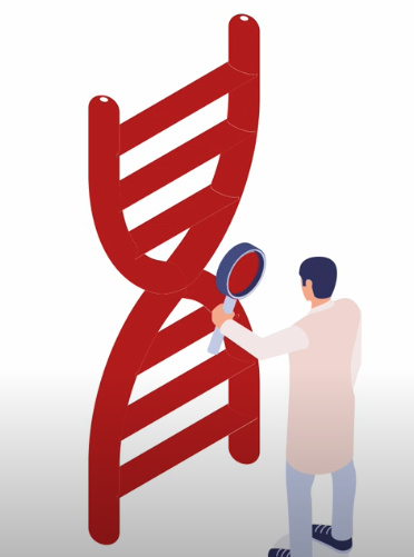 Prostate Cancer Whole Genome Sequencing