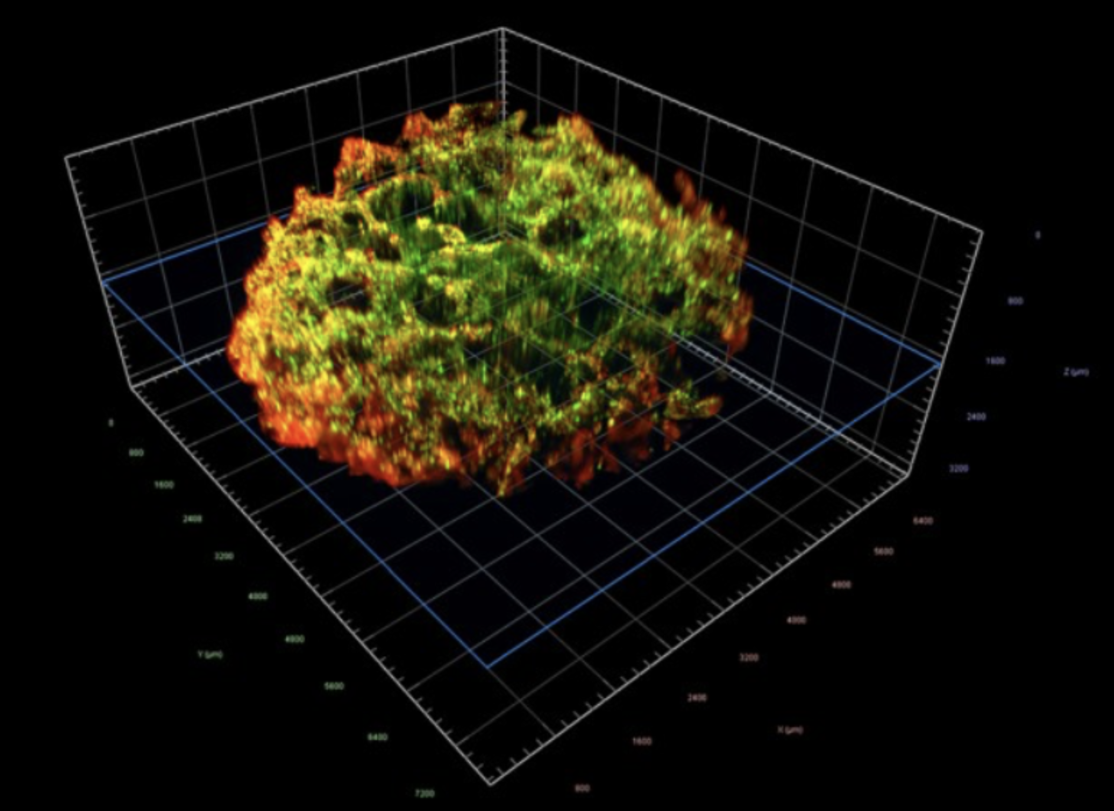 Credit: Nature Biomedical Engineering