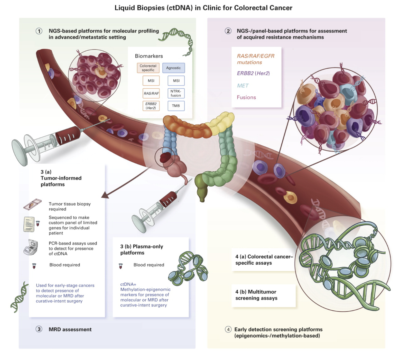 Photo Credit: Journal of Clinical Oncology