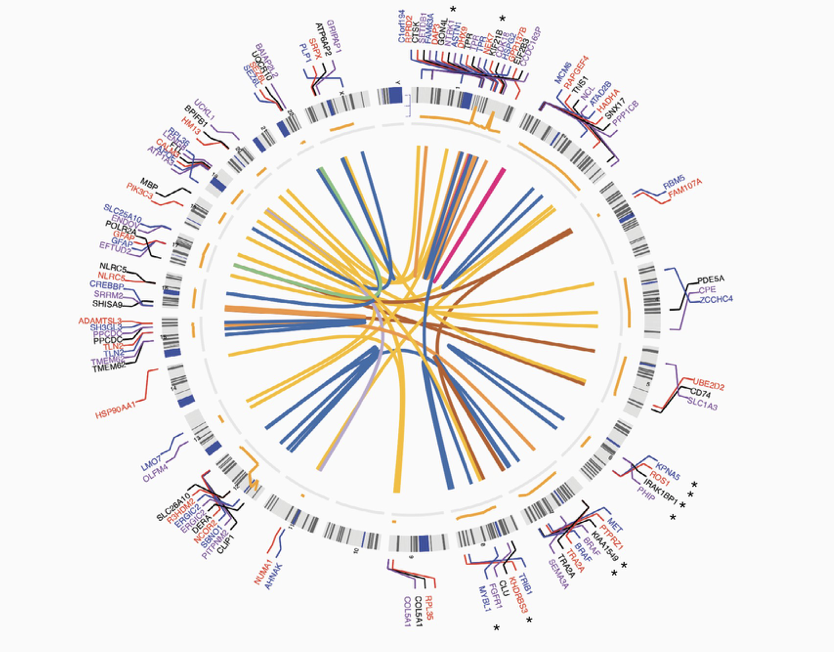 New EIPM research published in Neurology-Oncology Advances Graphic credit: Neuro-Oncology