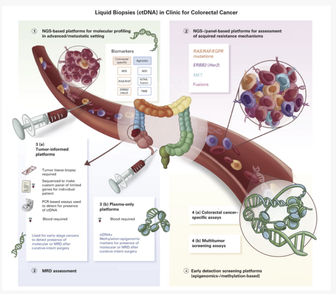 Graphic credit: Journal of Clinical Oncology