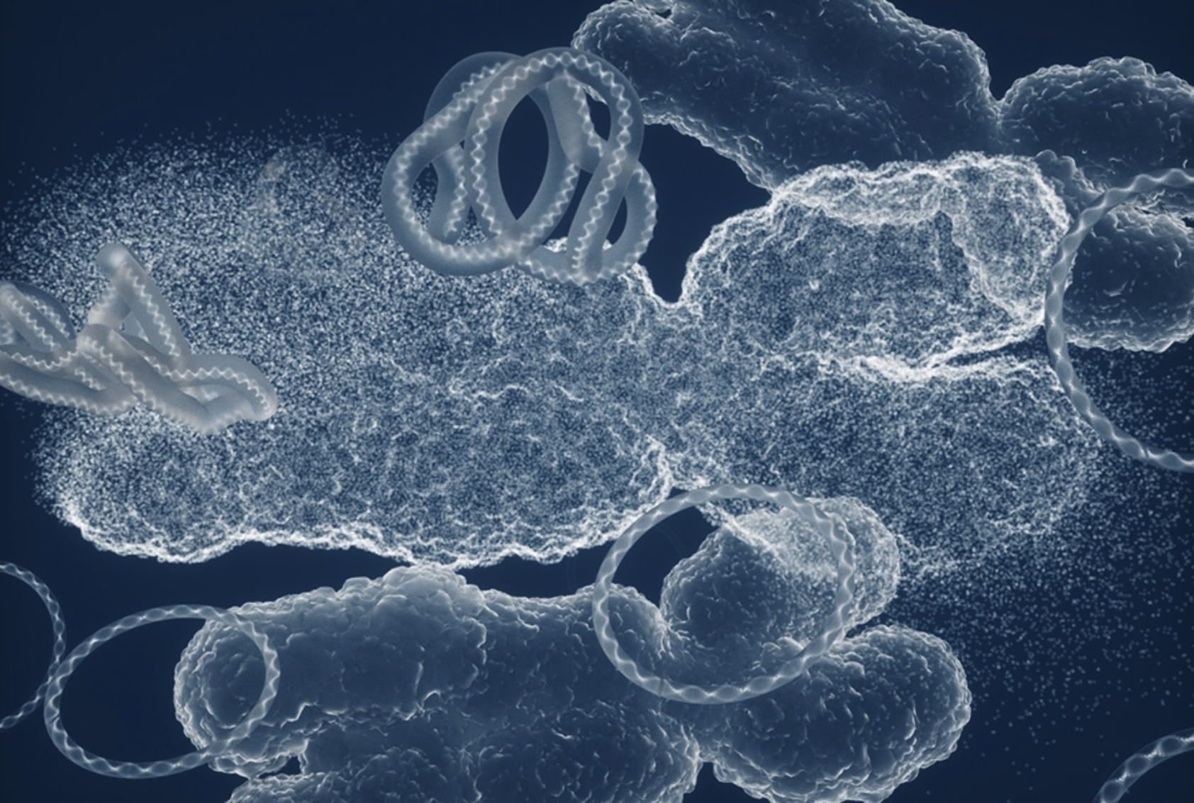 Artistic conceptualization of chromosomal DNA breakdown, extrachromosomal DNA and circular DNA. Circular DNA can drive resistance to therapy in bladder cancer. Credit: Ella Maru Studio, Inc.