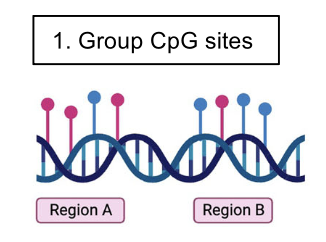 July 2025 EIPM Director's Monthly Memo Credit: Nature Communications