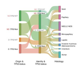 Credit: Nature Genetics