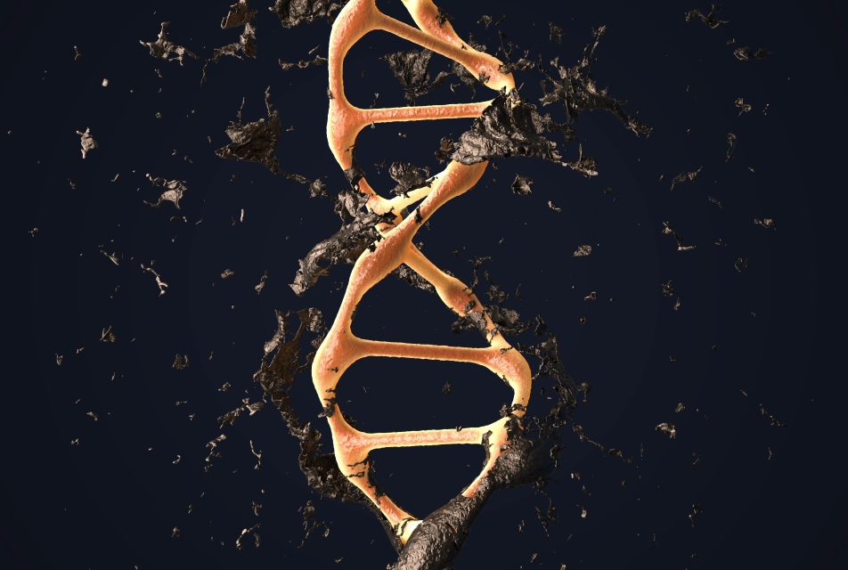 Credit: Shutterstock