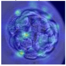 Credit: Nature Communications