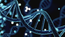 Graphic: American Journal of Human Genetics