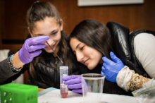 EIPM & MCC Summer Internship Program