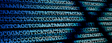 whole exome sequencing 