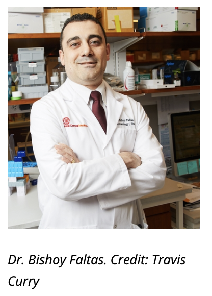 Dr. Bishoy Faltas. Credit: Travis Curry