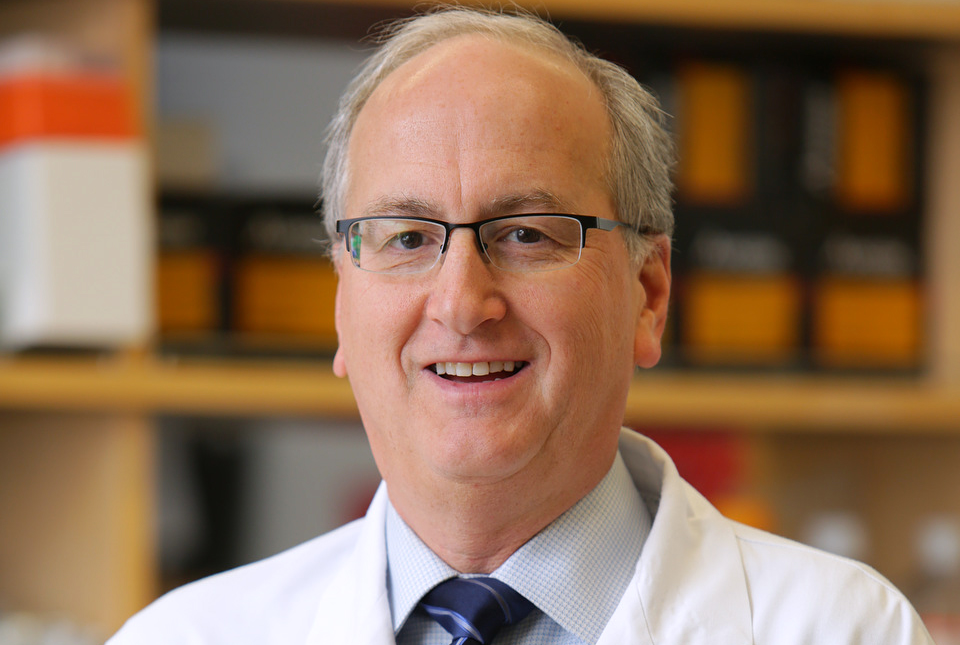 Dr. David Nanus