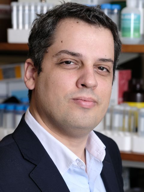 Dr. Alexandros Sigaras