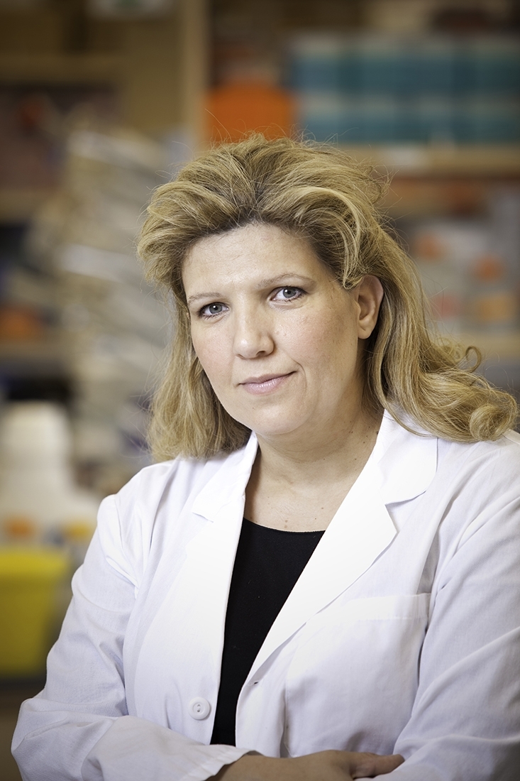 Paraskevi Giannakakou, Ph.D.
