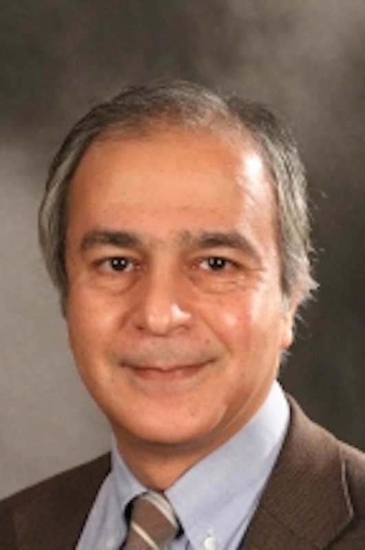 Nasser Altorki