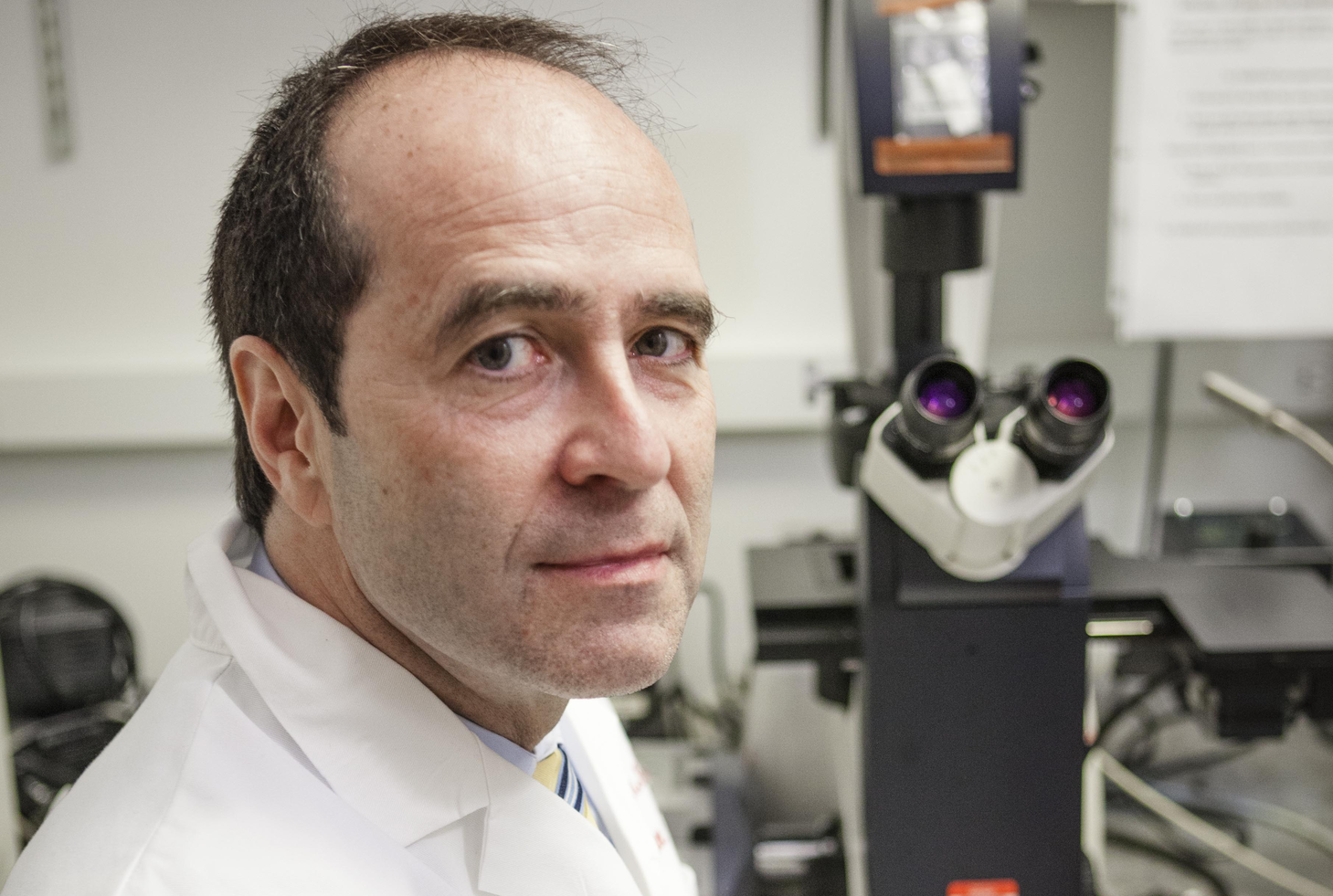 Timothy E. McGraw, Ph.D.